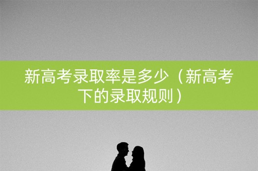 新高考录取率是多少（新高考下的录取规则）