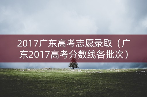 2017广东高考志愿录取（广东2017高考分数线各批次）