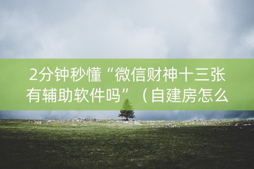 2分钟秒懂“微信财神十三张有辅助软件吗”（自建房怎么赢)