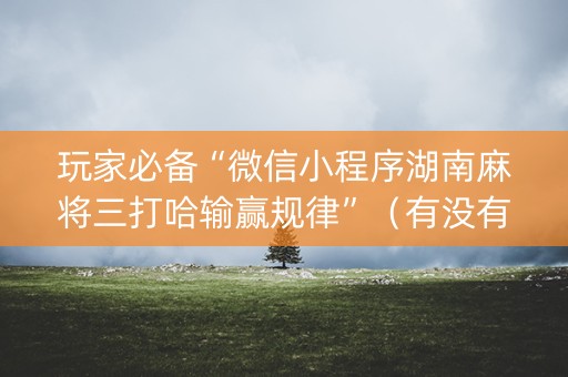玩家必备“微信小程序湖南麻将三打哈输赢规律”（有没有猫腻)