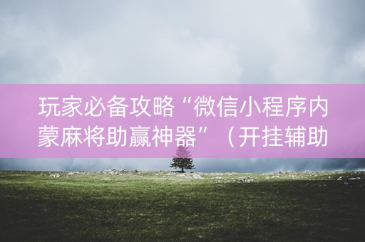 玩家必备攻略“微信小程序内蒙麻将助赢神器”（开挂辅助器脚本)
