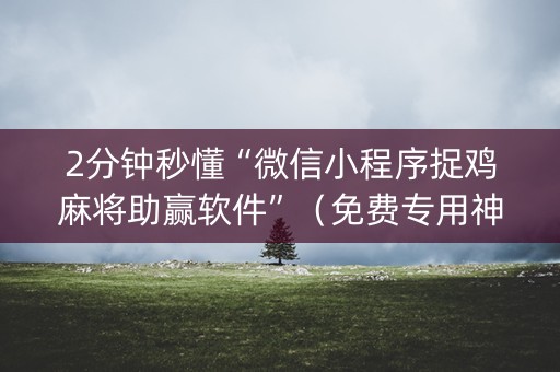 2分钟秒懂“微信小程序捉鸡麻将助赢软件”（免费专用神器)