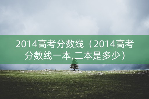 2014高考分数线（2014高考分数线一本,二本是多少）