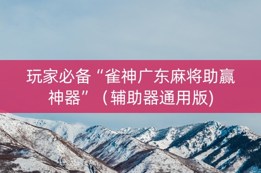 玩家必备“雀神广东麻将助赢神器”（辅助器通用版)