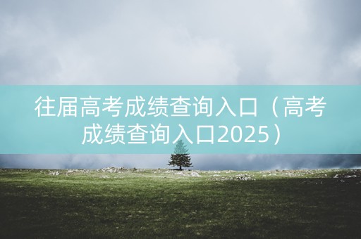 往届高考成绩查询入口（高考成绩查询入口2025）