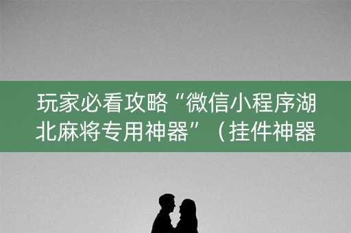 玩家必看攻略“微信小程序湖北麻将专用神器”（挂件神器)