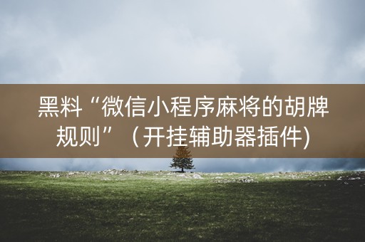 黑料“微信小程序麻将的胡牌规则”（开挂辅助器插件)