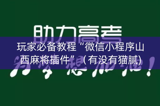 玩家必备教程“微信小程序山西麻将插件”（有没有猫腻)