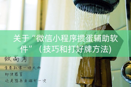 关于“微信小程序掼蛋辅助软件”（技巧和打好牌方法)