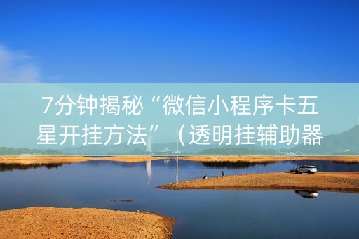 7分钟揭秘“微信小程序卡五星开挂方法”（透明挂辅助器)