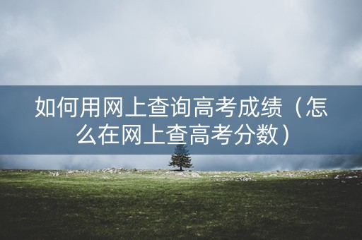 如何用网上查询高考成绩（怎么在网上查高考分数）