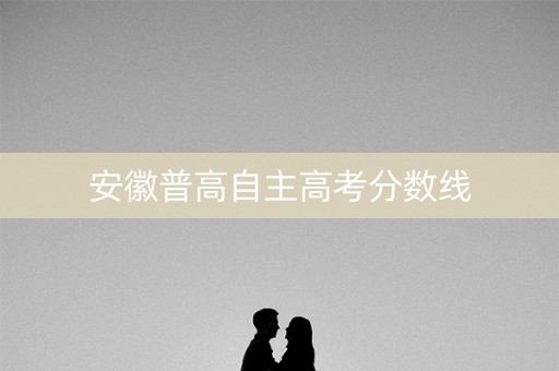 安徽普高自主高考分数线