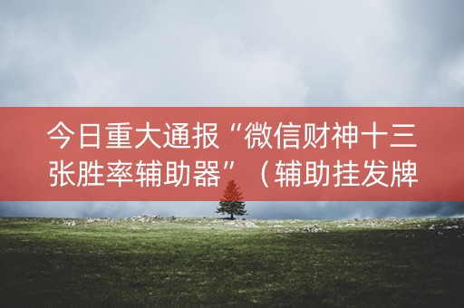 今日重大通报“微信财神十三张胜率辅助器”（辅助挂发牌规律)