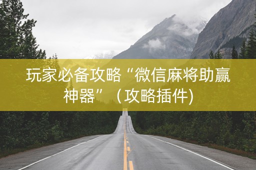 玩家必备攻略“微信麻将助赢神器”（攻略插件)