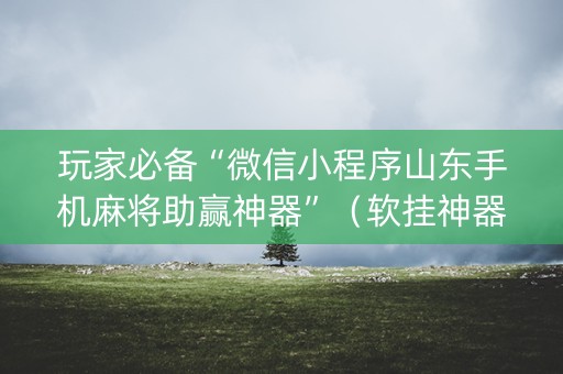 玩家必备“微信小程序山东手机麻将助赢神器”（软挂神器)