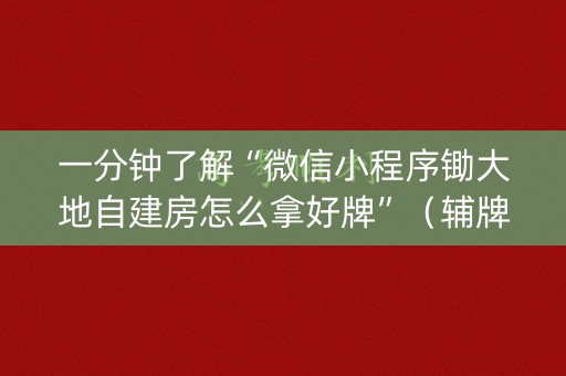 一分钟了解“微信小程序锄大地自建房怎么拿好牌”（辅牌器插件购买)