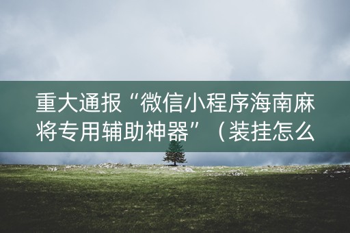 重大通报“微信小程序海南麻将专用辅助神器”（装挂怎么安装)