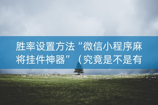 胜率设置方法“微信小程序麻将挂件神器”（究竟是不是有挂)