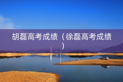 胡磊高考成绩（徐磊高考成绩）