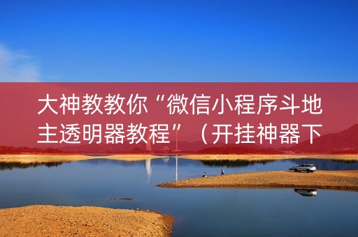 大神教教你“微信小程序斗地主透明器教程”（开挂神器下载)