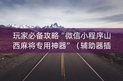玩家必备攻略“微信小程序山西麻将专用神器”（辅助器插件)