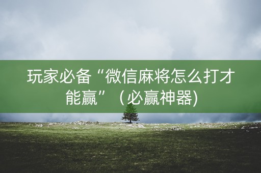 玩家必备“微信麻将怎么打才能赢”（必赢神器)