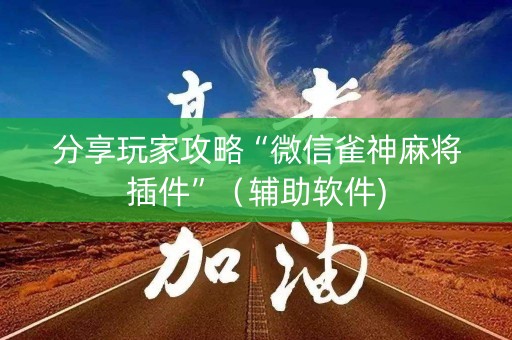 分享玩家攻略“微信雀神麻将插件”（辅助软件)