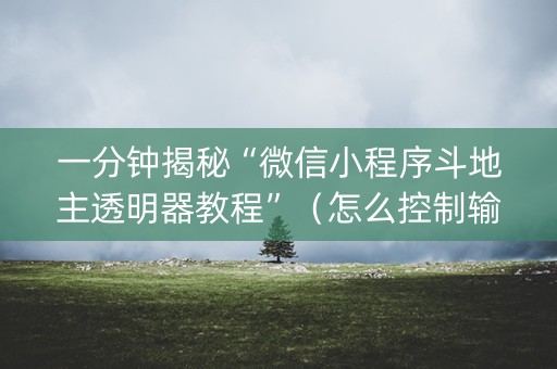 一分钟揭秘“微信小程序斗地主透明器教程”（怎么控制输赢)