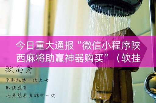 今日重大通报“微信小程序陕西麻将助赢神器购买”（软挂神器)