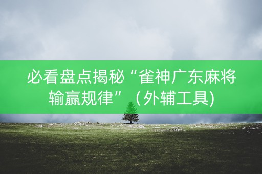 必看盘点揭秘“雀神广东麻将输赢规律”（外辅工具)