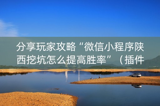 分享玩家攻略“微信小程序陕西挖坑怎么提高胜率”（插件开挂免费AI)