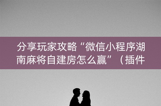 分享玩家攻略“微信小程序湖南麻将自建房怎么赢”（插件可信吗)