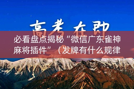必看盘点揭秘“微信广东雀神麻将插件”（发牌有什么规律吗)