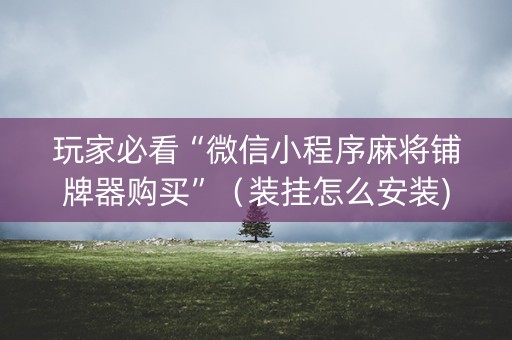 玩家必看“微信小程序麻将铺牌器购买”（装挂怎么安装)