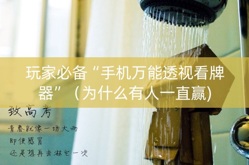 玩家必备“手机万能透视看牌器”（为什么有人一直赢)