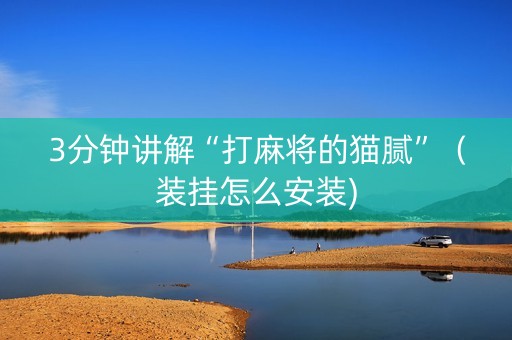 3分钟讲解“打麻将的猫腻”（装挂怎么安装)