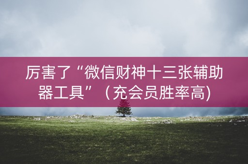 厉害了“微信财神十三张辅助器工具”（充会员胜率高)