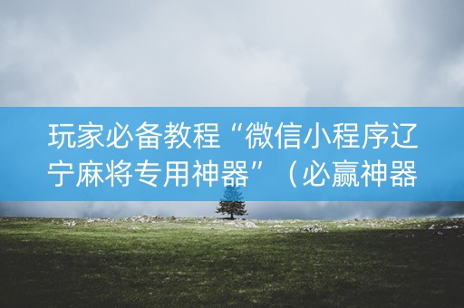 玩家必备教程“微信小程序辽宁麻将专用神器”（必赢神器辅助器)