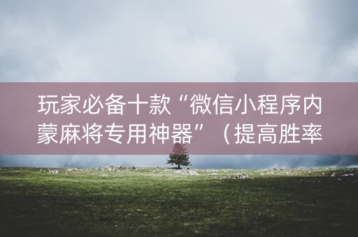 玩家必备十款“微信小程序内蒙麻将专用神器”（提高胜率技巧)