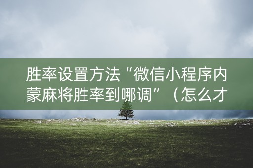 胜率设置方法“微信小程序内蒙麻将胜率到哪调”（怎么才会赢)