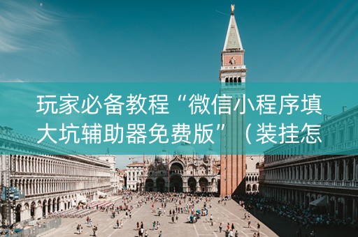 玩家必备教程“微信小程序填大坑辅助器免费版”（装挂怎么安装)