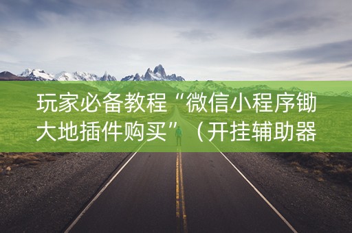 玩家必备教程“微信小程序锄大地插件购买”（开挂辅助器插件)