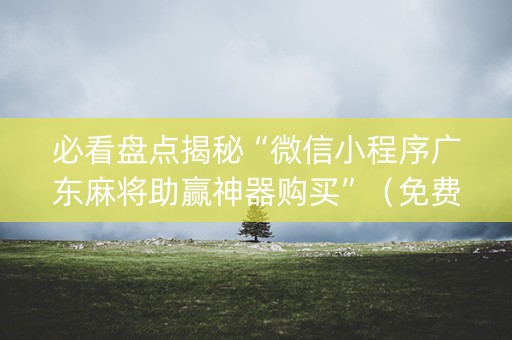 必看盘点揭秘“微信小程序广东麻将助赢神器购买”（免费辅助)