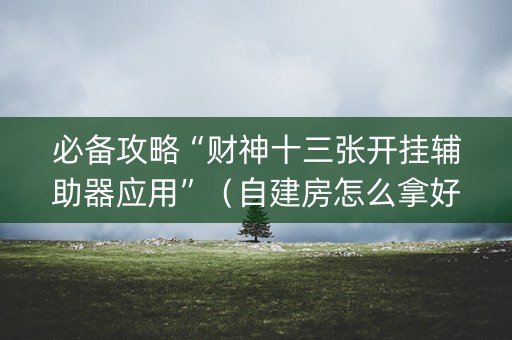 必备攻略“财神十三张开挂辅助器应用”（自建房怎么拿好牌)