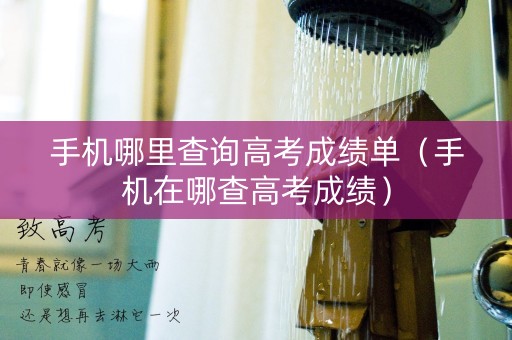 手机哪里查询高考成绩单（手机在哪查高考成绩）