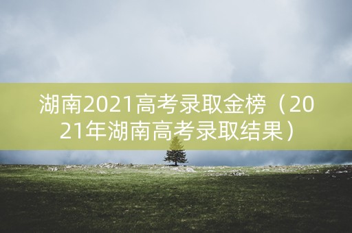 湖南2021高考录取金榜（2021年湖南高考录取结果）