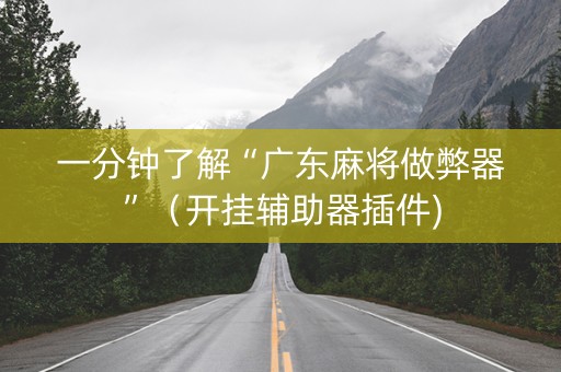一分钟了解“广东麻将做弊器”（开挂辅助器插件)