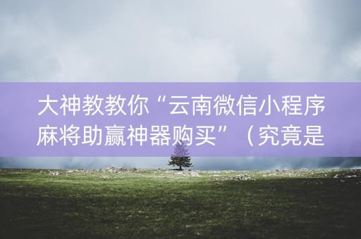 大神教教你“云南微信小程序麻将助赢神器购买”（究竟是不是有挂)