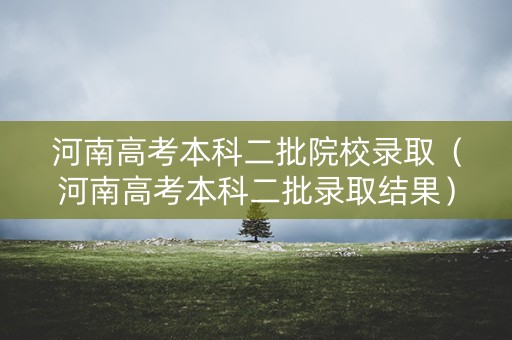 河南高考本科二批院校录取（河南高考本科二批录取结果）