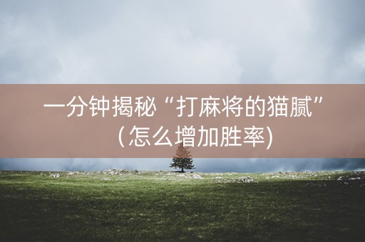 一分钟揭秘“打麻将的猫腻”（怎么增加胜率)
